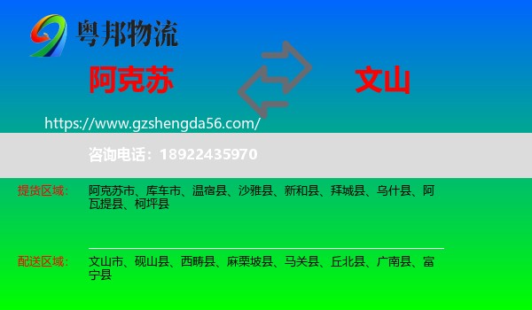 阿克苏到文山物流专线