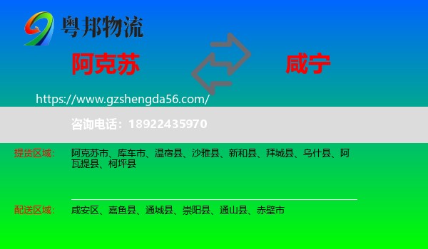 阿克苏到咸宁物流专线