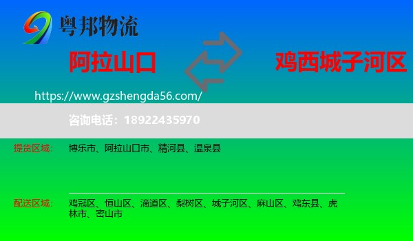 阿拉山口市到城子河区物流专线