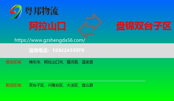 阿拉山口市到双台子区物流专线