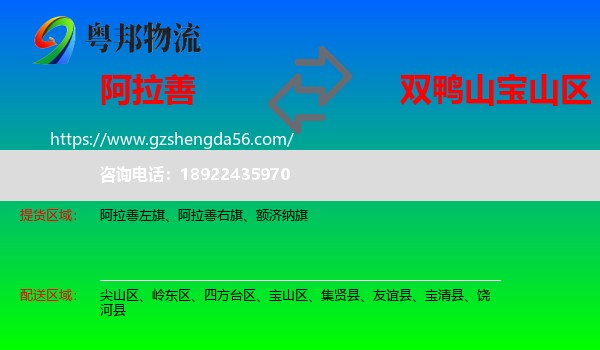 阿拉善盟到宝山区物流专线
