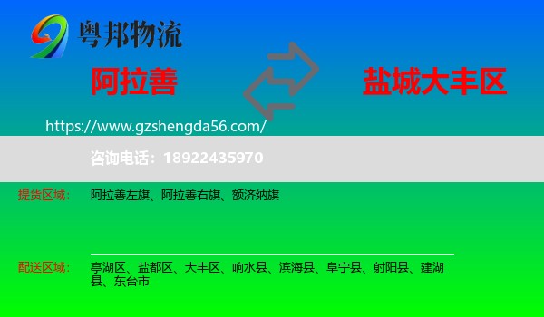 阿拉善盟到大丰区物流专线