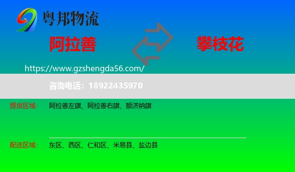 阿拉善盟到攀枝花物流