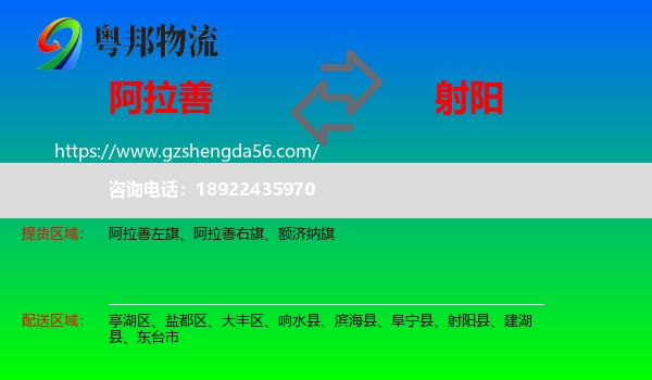 阿拉善盟到射阳县物流专线