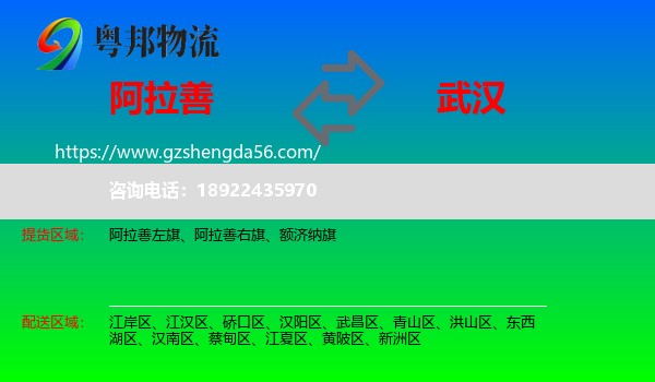 阿拉善盟到武汉专线