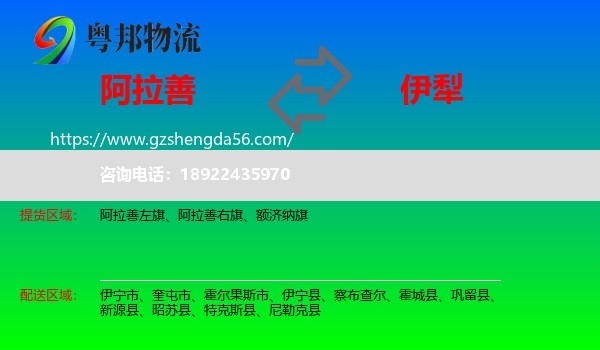 阿拉善盟到伊犁物流