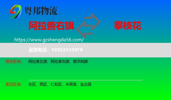 阿拉善右旗到攀枝花物流专线