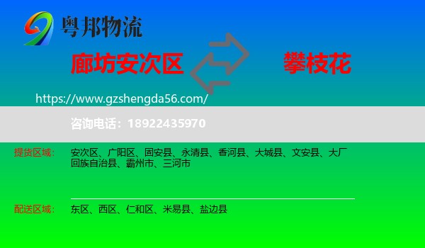 安次区到攀枝花物流