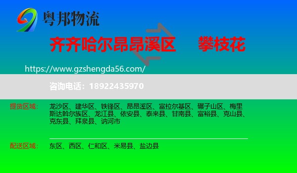 昂昂溪区到攀枝花物流