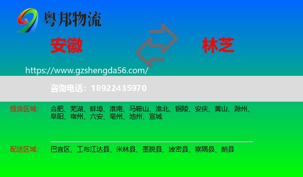 安徽到林芝物流
