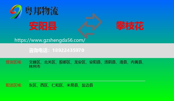 安阳县到攀枝花物流专线
