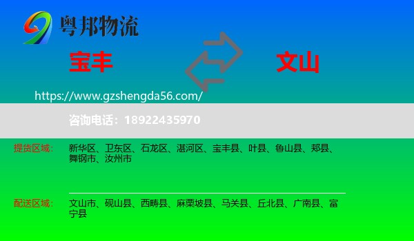 宝丰县到文山物流