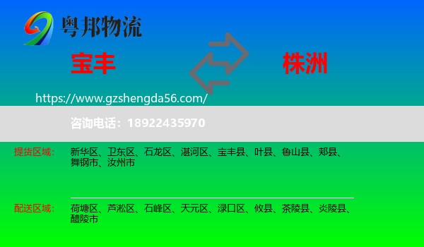 宝丰县到株洲物流