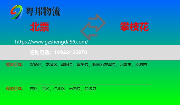 北票市到攀枝花物流