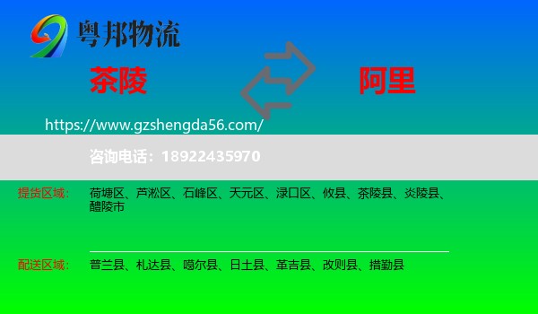 茶陵县到阿里物流