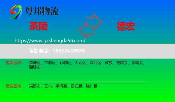 茶陵县到德宏物流