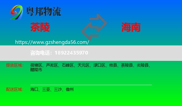 茶陵县到海南物流