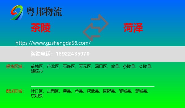 茶陵县到菏泽物流