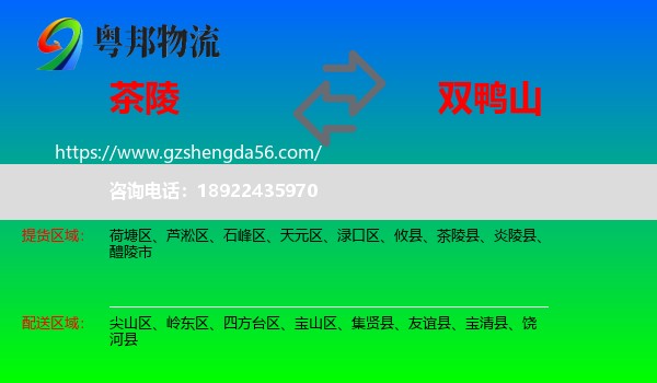 茶陵县到双鸭山物流