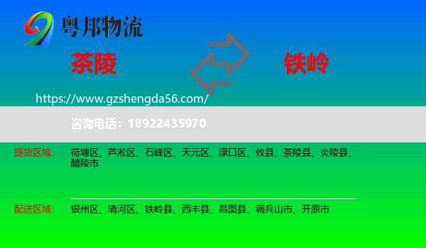 茶陵县到铁岭物流