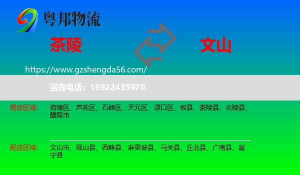 茶陵县到文山物流