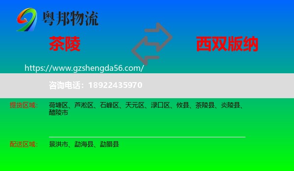 茶陵县到西双版纳物流