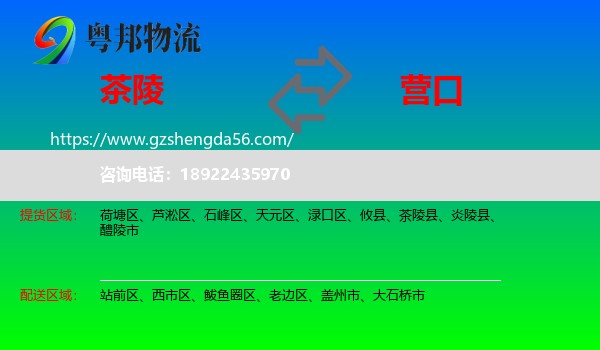 茶陵县到营口物流