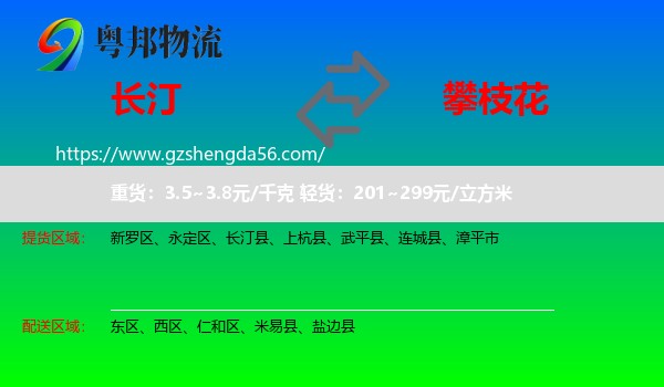 长汀县到攀枝花物流