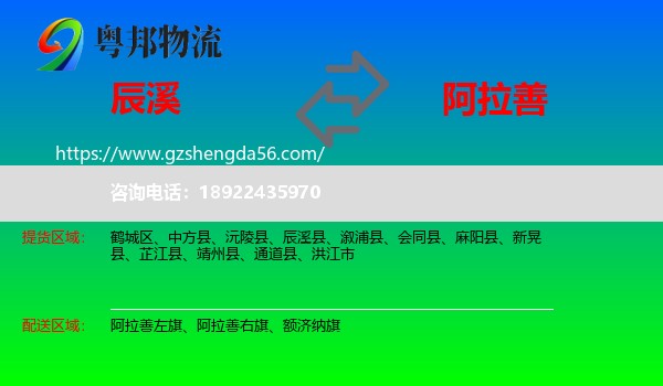 辰溪县到阿拉善盟物流