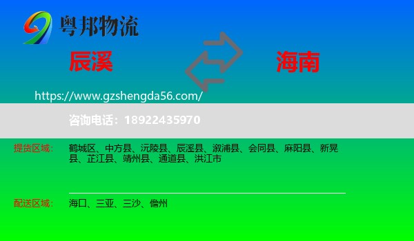 辰溪县到海南物流