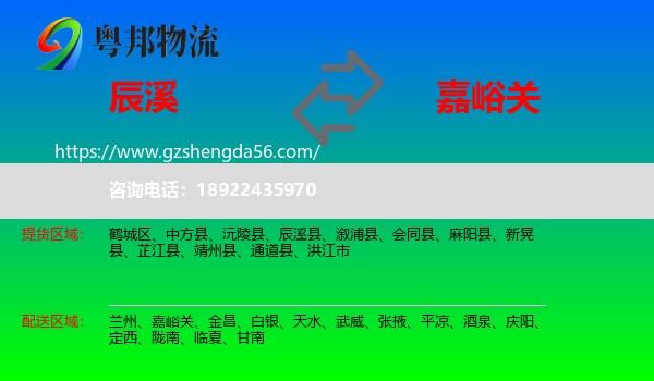 辰溪县到嘉峪关物流