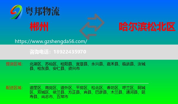 郴州到松北区物流专线