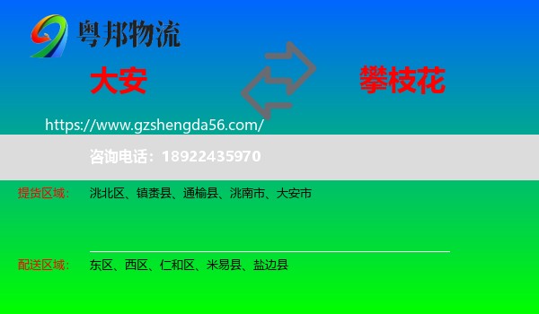 大安市到攀枝花物流专线