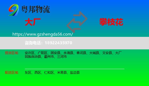 大厂回族自治县到攀枝花物流专线