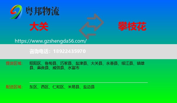 大关县到攀枝花物流专线