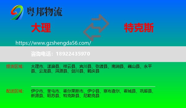 大理到特克斯县物流专线