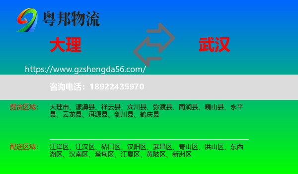 大理到武汉专线