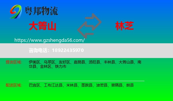 大箐山县到林芝物流