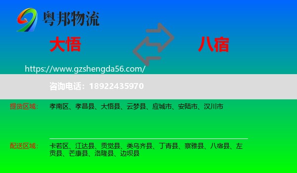 大悟县到八宿县物流专线