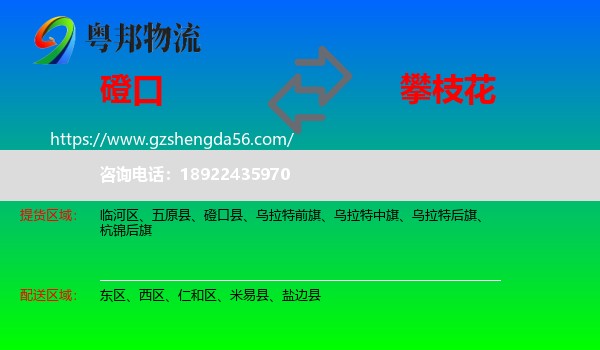 磴口县到攀枝花物流专线