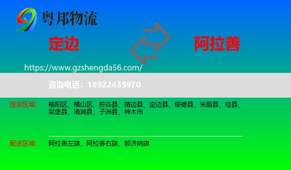 定边县到阿拉善盟物流