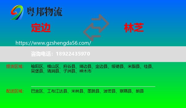 定边县到林芝物流