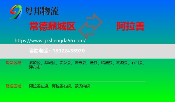 鼎城区到阿拉善盟物流