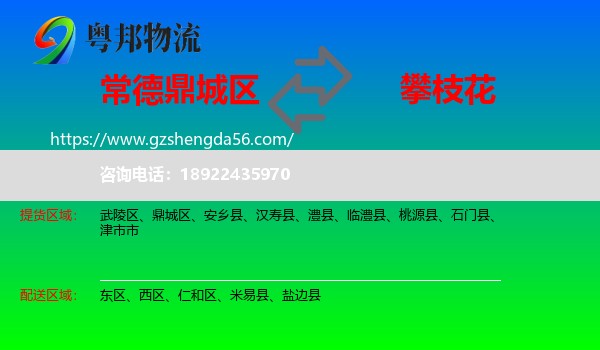 鼎城区到攀枝花物流