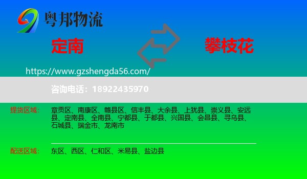 定南县到攀枝花物流