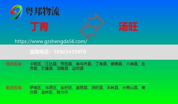 丁青县到汤旺县物流专线