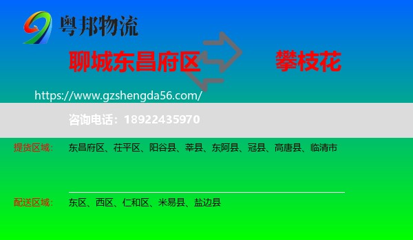 东昌府区到攀枝花物流专线