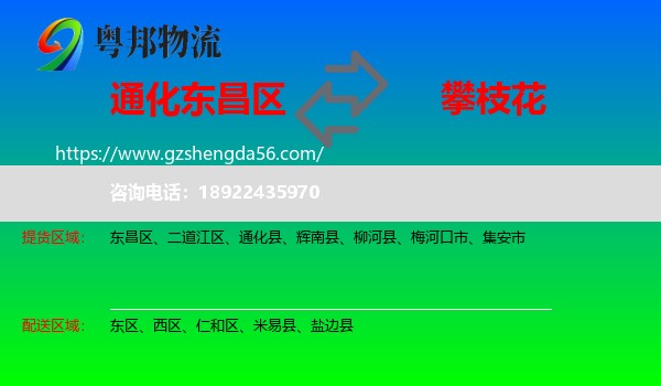 东昌区到攀枝花物流专线