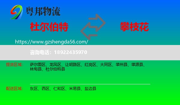 杜尔伯特县到攀枝花物流