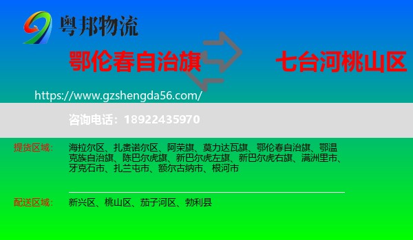 鄂伦春自治旗到桃山区物流专线